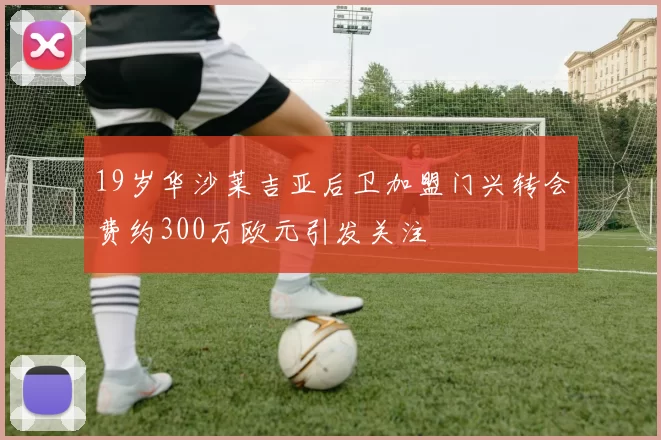 19岁华沙莱吉亚后卫加盟门兴转会费约300万欧元引发关注