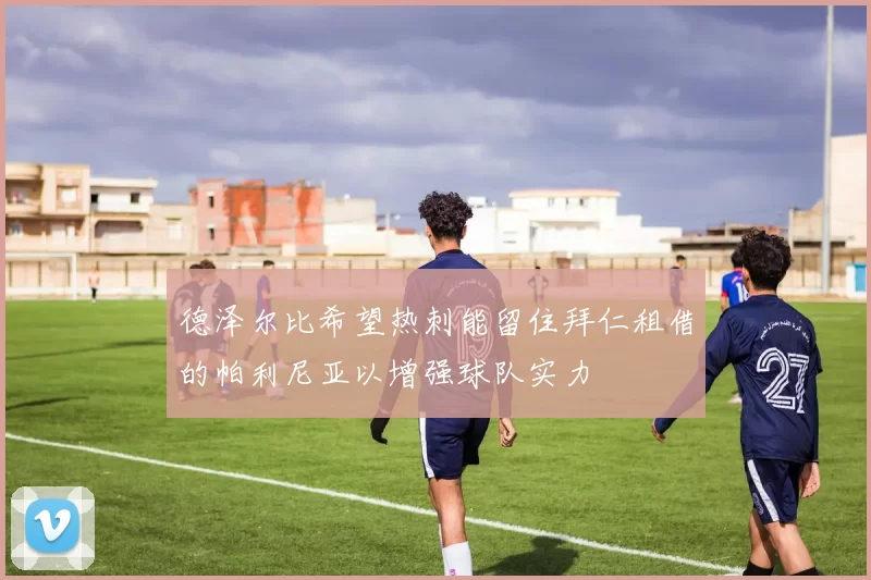 德泽尔比希望热刺能留住拜仁租借的帕利尼亚以增强球队实力